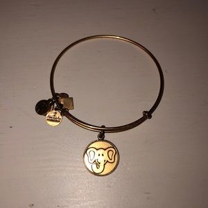 Alex and Ani Bracelet